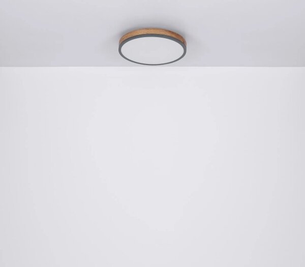 Globo 416080WD2R-CCT-LED stmievateľné stropné svietidlo DORO 24W/230V 3000-6500K pr. 45 cm