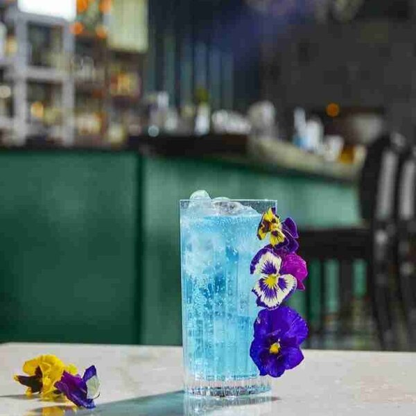 RCR TIMELESS poháre Highball 440 ml 6 ks