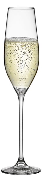 RONA CELEBRATION poháre Flute na šampanské 210 ml 6 ks