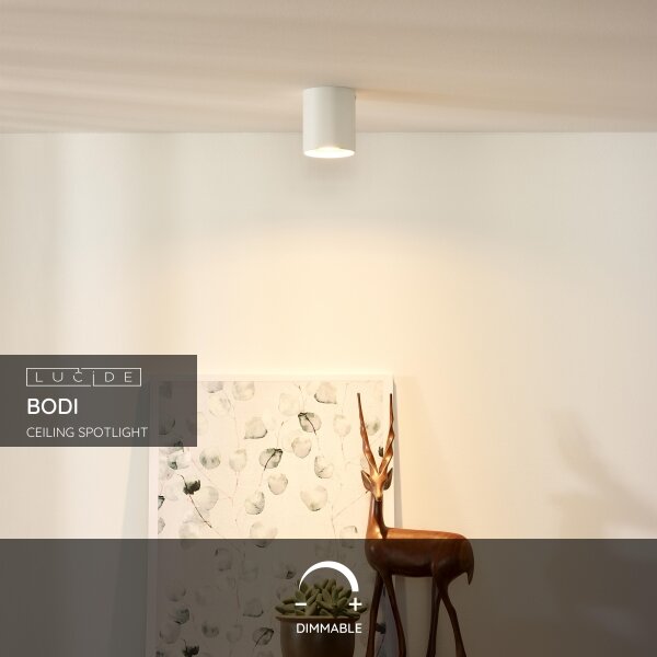 Lucide 09100/01/31 - Bodové svietidlo BODI 1xGU10/50W/230V