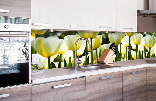 DIMEX | Fototapeta do kuchyne Biele tulipány KI-260-009 | 260 x 60 cm | zelená, biela, žltá