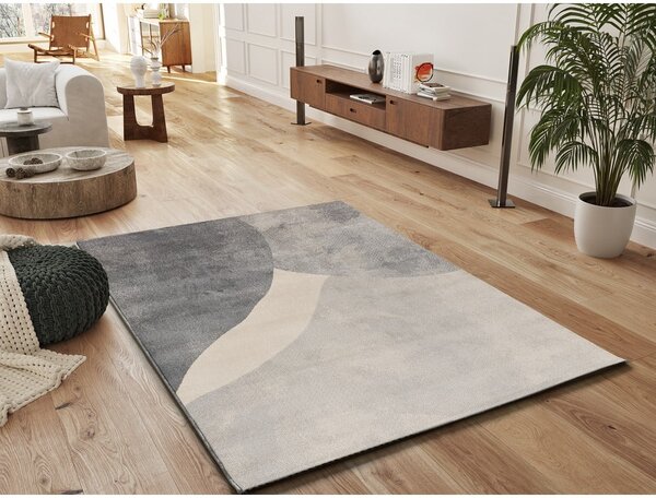 Sivý koberec 160x230 cm Monic – Universal
