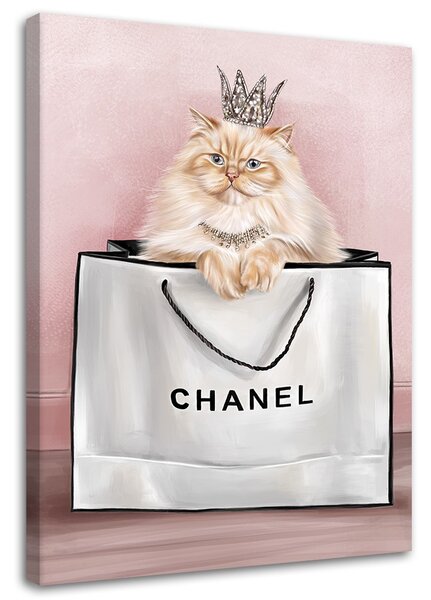 Obraz na plátne Mačka v taške Chanel Rozmery: 40 x 60 cm