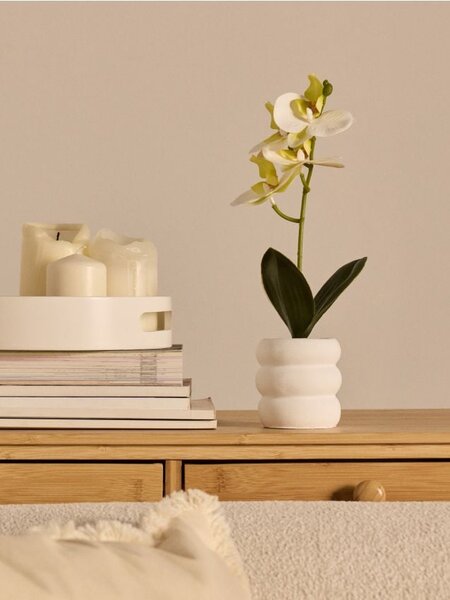 Sinsay - Dekoratívna rastlina v kvetináči – orchidea - biela