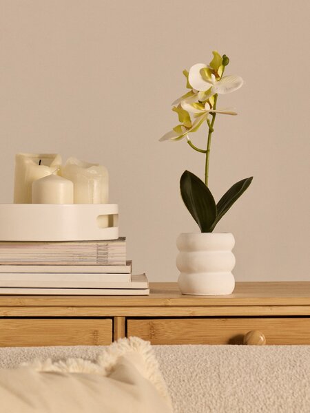 Sinsay - Dekoratívna rastlina v kvetináči – orchidea - biela