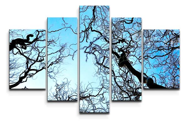 Sablio Obraz - 5-dílný Holé konáre - 125x90 cm