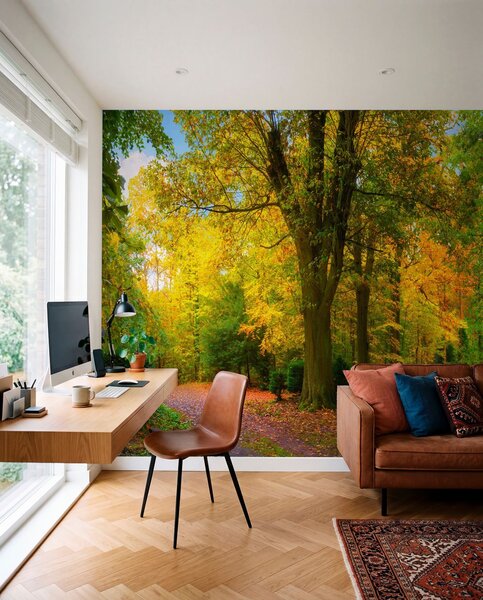 Tapety Prvé zlato jesene, Fototapety s lesom, u08547 : Uwalls.sk