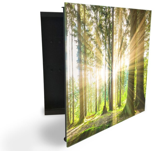 Glasdekor skrinka na kľúče - slnečné lúče medzi stromami v lese - Ľavé / Čierna