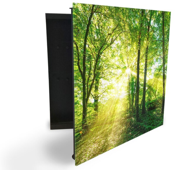 Glasdekor skrinka na kľúče - krásne zelený les a slnko - Ľavé / Biela
