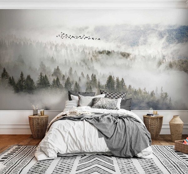 Tapety Vtáky nad hmlou, Fototapety s lesom, Fototapety hmla, u13823 : Uwalls.sk