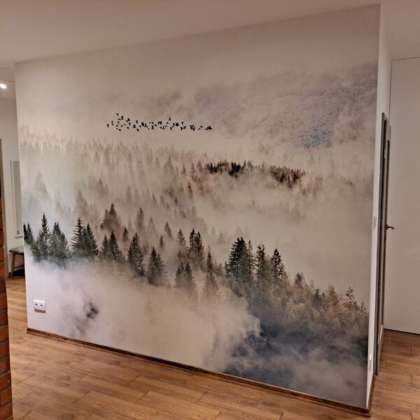Tapety Vtáky nad hmlou, Fototapety s lesom, Fototapety hmla, u13823 : Uwalls.sk