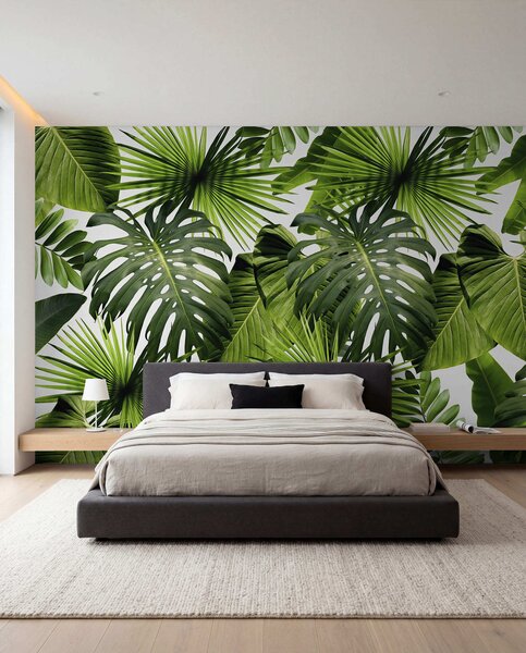 Tapety Tropická zeleň v dennom svetle, Fototapety s prírodnými motívmi, u37767 : Uwalls.sk