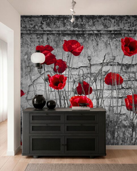 Tapety Svetlé maky na pozadí steny, Fototapety s kvetmi, u40552 : Uwalls.sk