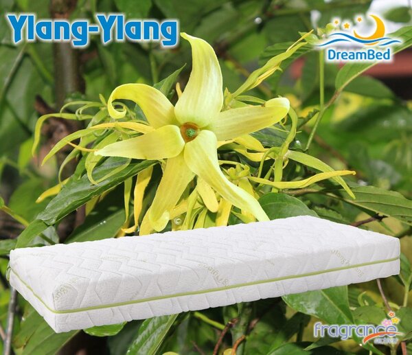 Matrac Ylang z pamäťovej peny DreamBed - 80x190cm