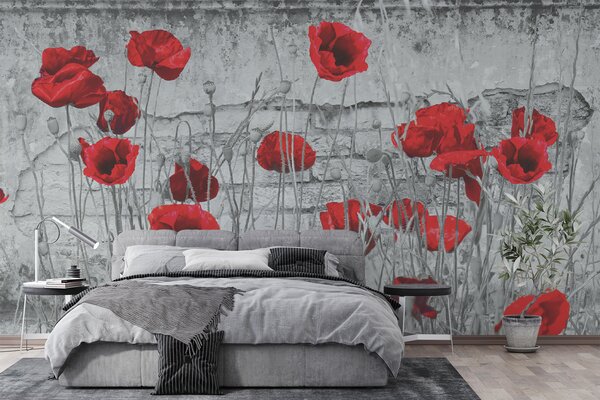 Tapety Svetlé maky na pozadí steny, Fototapety s kvetmi, u40552 : Uwalls.sk