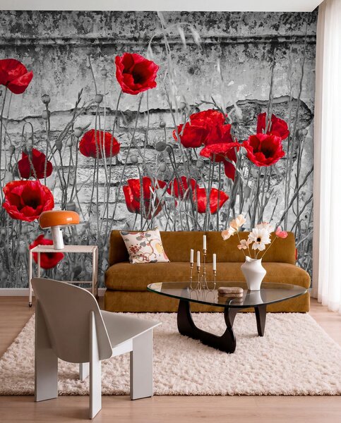 Tapety Svetlé maky na pozadí steny, Fototapety s kvetmi, u40552 : Uwalls.sk