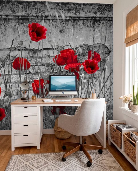 Tapety Svetlé maky na pozadí steny, Fototapety s kvetmi, u40552 : Uwalls.sk