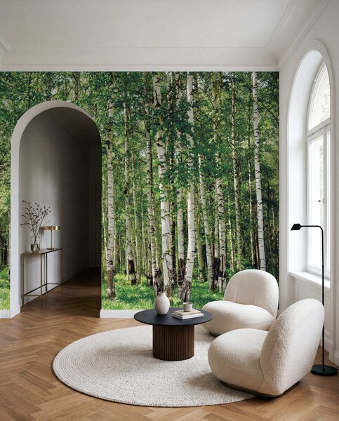 Tapety V letnom brezovom lese, Fototapety s lesom, Fototapety brezy, u52530 : Uwalls.sk