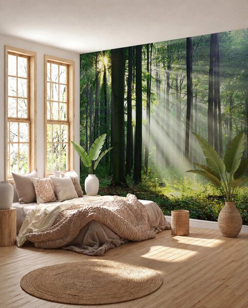Tapety Slnko medzi stromami, Fototapety s prírodnými motívmi, u56787 : Uwalls.sk