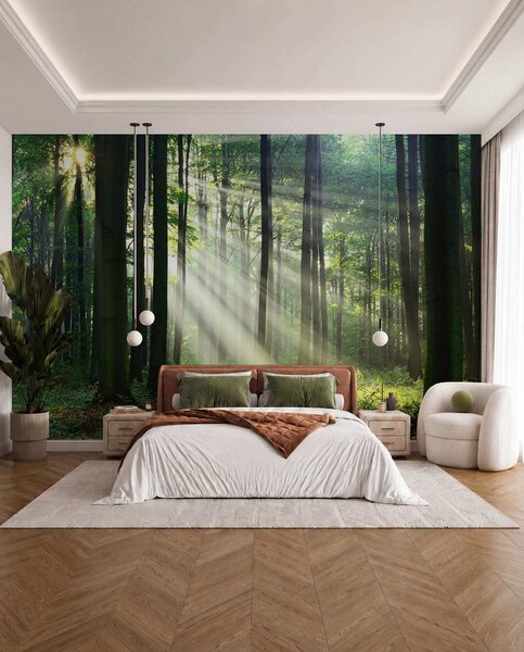 Tapety Slnko medzi stromami, Fototapety s prírodnými motívmi, u56787 : Uwalls.sk