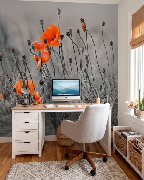 Tapety Poľný mak, Fototapety s kvetmi, u53411 : Uwalls.sk