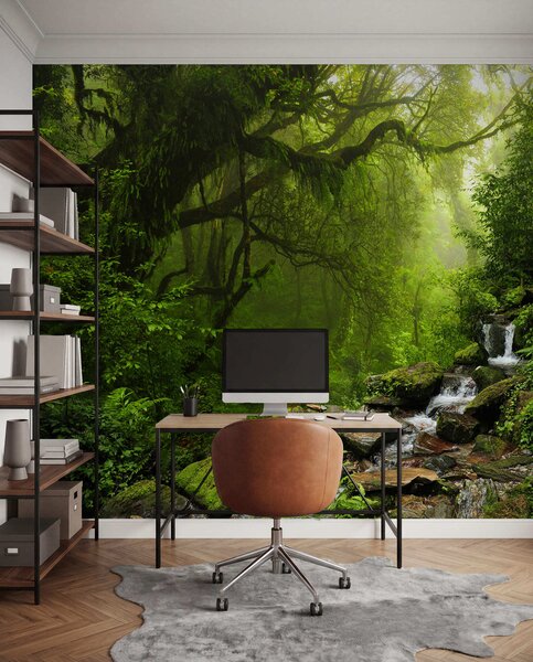 Tapety Skrytý lesný vodopád, Fototapety s prírodnými motívmi, u53758 : Uwalls.sk