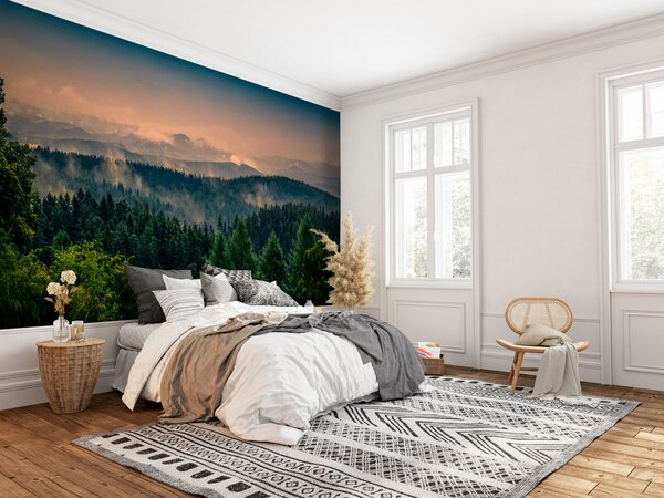 Tapety Strom a sila, Fototapety s lesom, Fototapety hmla, u72174 : Uwalls.sk