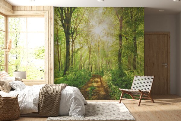 Tapety Chodník pod zelenými vetvami, Fototapety s prírodnými motívmi, u22252 : Uwalls.sk