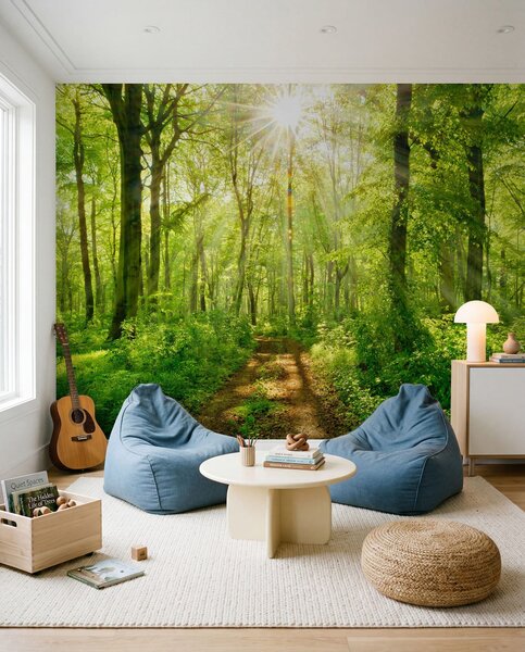 Tapety Chodník pod zelenými vetvami, Fototapety s prírodnými motívmi, u22252 : Uwalls.sk
