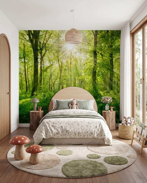 Tapety Chodník pod zelenými vetvami, Fototapety s prírodnými motívmi, u22252 : Uwalls.sk