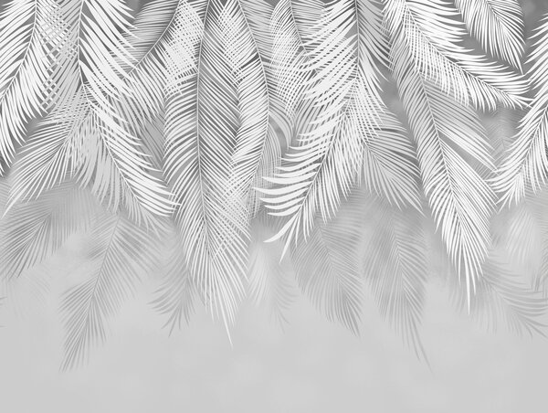 Tapety Strieborný palmový záves, Fototapety s lesom, Fototapety tropické, u48556v7 : Uwalls.sk