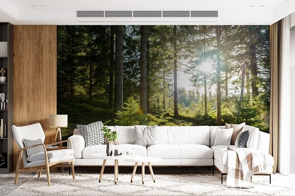 Tapety Slnečné lúče v lese, Fototapety s prírodnými motívmi, u80015 : Uwalls.sk