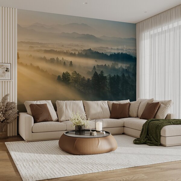Tapety Slnečné lúče nad borovicami, Fototapety s lesom, Fototapety hmla, u73864 : Uwalls.sk