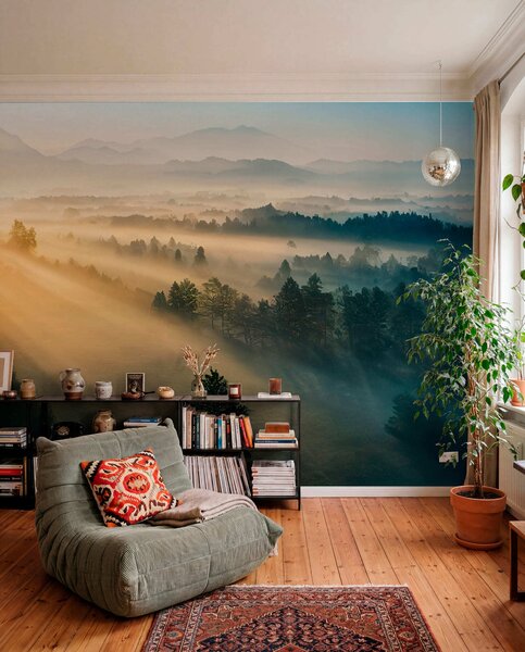 Tapety Slnečné lúče nad borovicami, Fototapety s lesom, Fototapety hmla, u73864 : Uwalls.sk