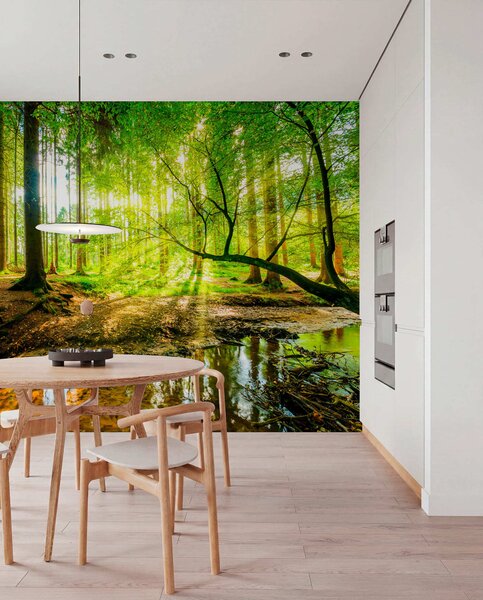 Tapety Lesný potok na slnku, Fototapety s prírodnými motívmi, u93621 : Uwalls.sk