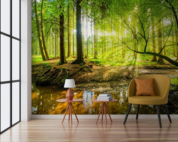 Tapety Lesný potok na slnku, Fototapety s prírodnými motívmi, u93621 : Uwalls.sk
