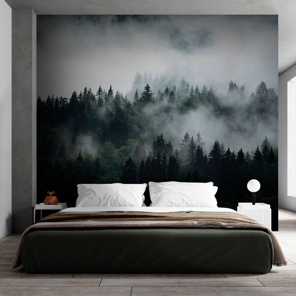 Tapety Ihličnany v rannej hmle, Fototapety s lesom, Fototapety hmla, u74233 : Uwalls.sk