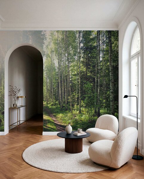 Tapety Brezy v zelenom svetle, Fototapety s prírodnými motívmi, u74235 : Uwalls.sk