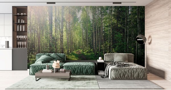 Tapety Brezy v zelenom svetle, Fototapety s prírodnými motívmi, u74235 : Uwalls.sk