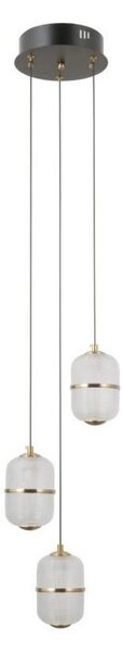 ITALUX PND-34375-3-BK - LED závesné svietidlo na lane ALANI 3xLED/5W/230V 3000K čierna/zlatá