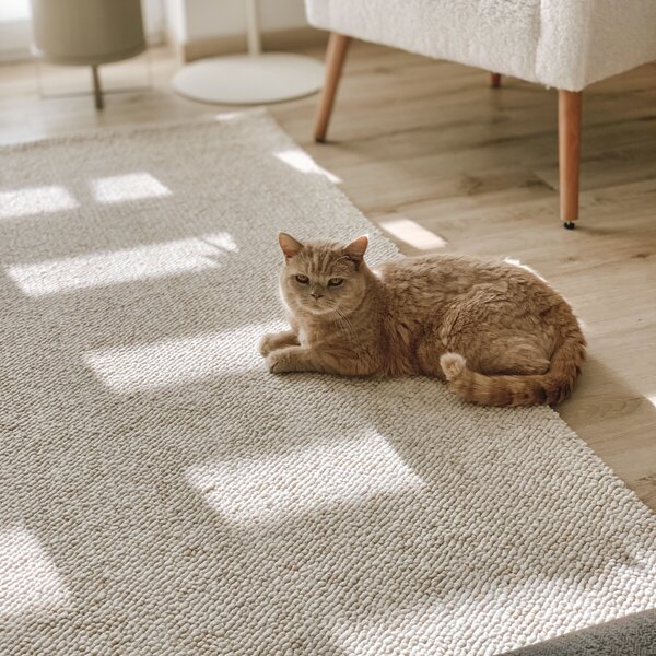 ELLE Decoration , DOPREDAJ: 80x240 cm Běhoun Wolly Ultra 106228 Cream z kolekce Elle, 80x240, biela, obývacia izba