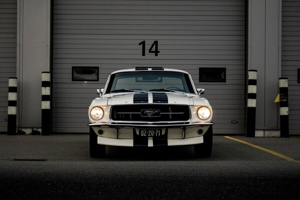 Tapety Záhada a spomienka, Fototapety doprava, u95536 : Uwalls.sk