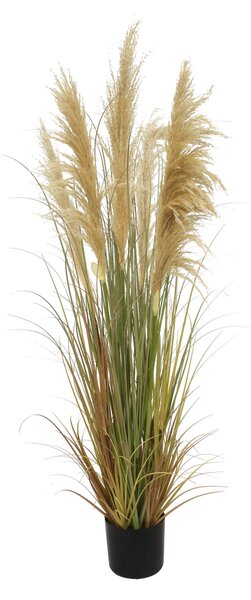 DEKORAČNÁ TRÁVA, 150 cm Ambia Home - Kvety & kvetináče, Online Only