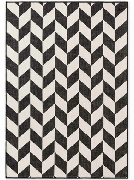 Ted Baker , Kusový koberec Haringey 106378 Black White, 120x170, čiernobiela, chodba / predsieň