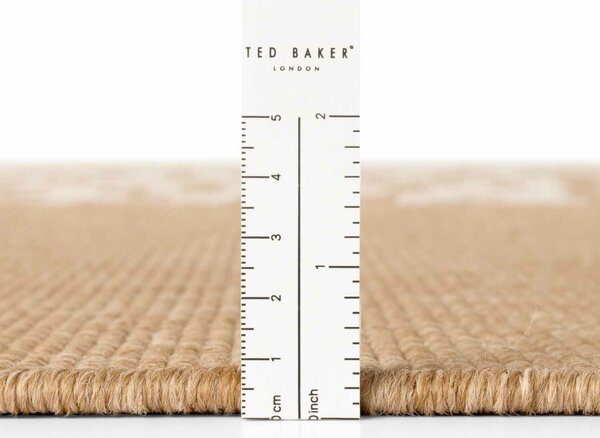 Ted Baker, Kusový koberec Ted Baker Haringey 106377 Natural White, 120x170, béžová, chodba / predsieň