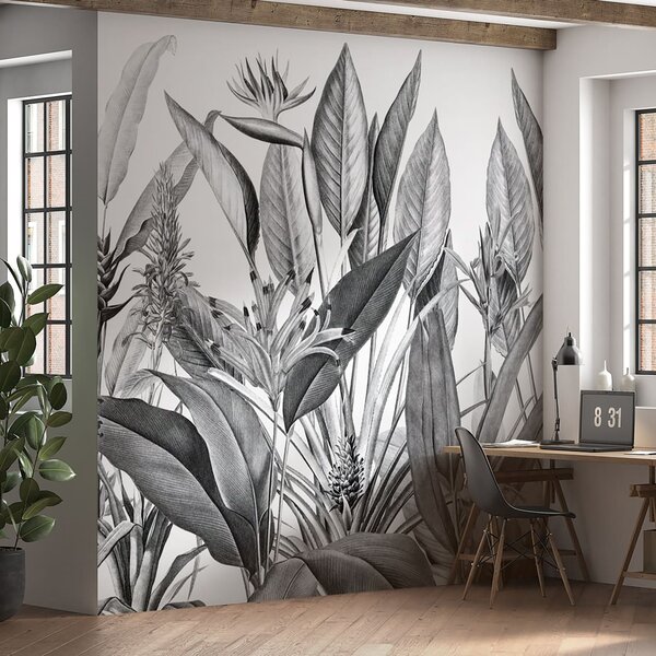 Tapety Džungľa v tuši, Fototapety čiernobiele, u96833 : Uwalls.sk