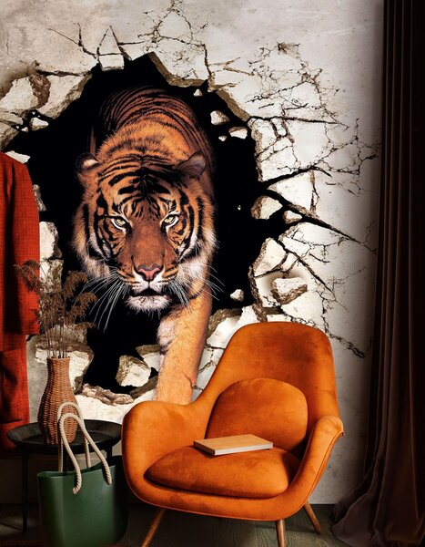 Tapety Tiger preráža múr, 3D fototapety, u97031 : Uwalls.sk