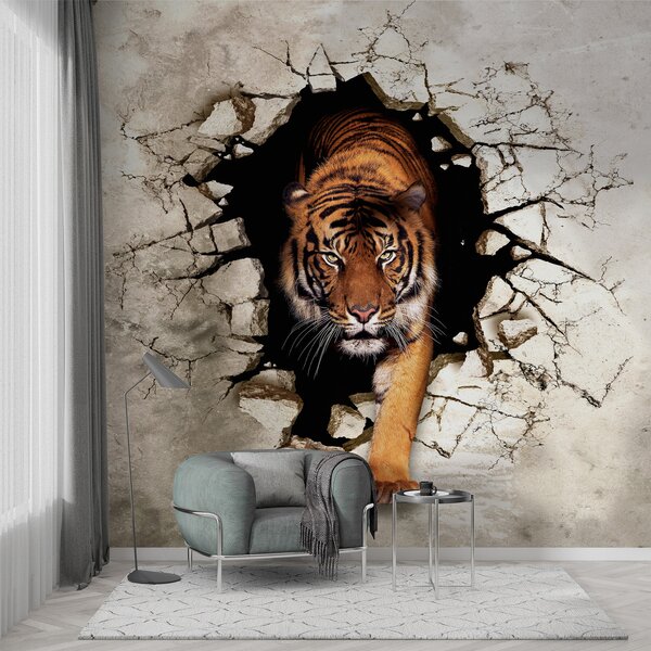 Tapety Tiger preráža múr, 3D fototapety, u97031 : Uwalls.sk