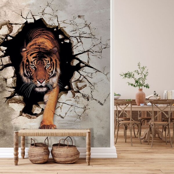 Tapety Tiger preráža múr, 3D fototapety, u97031 : Uwalls.sk