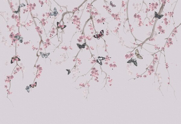 Tapety Sakura kvety a motýle, Fototapety s lesom, Fototapety stromy, u97056 : Uwalls.sk